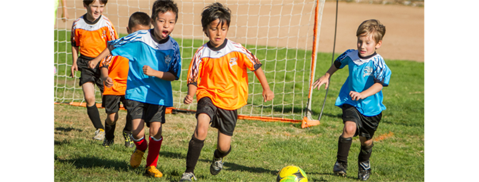 Why AYSO & Why Soccer- A Parents Guide